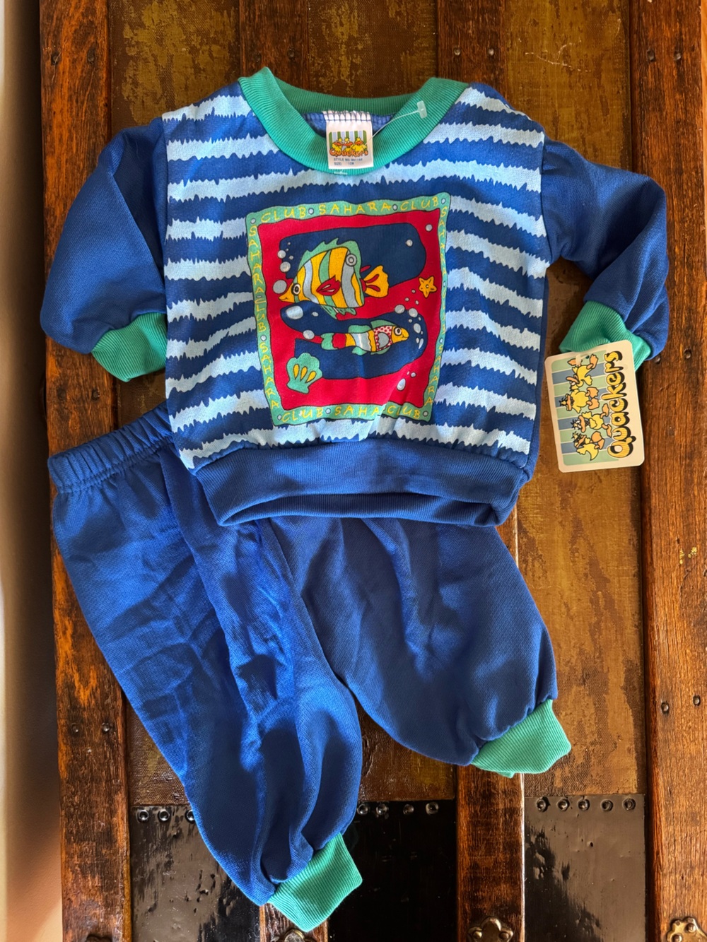Blue Kids Sweatshirt and Pants Set with Colorful Fish Graphic